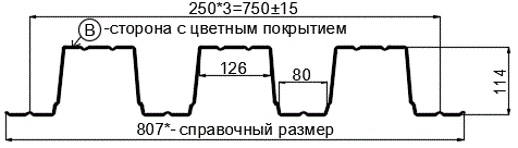 Фото: Профнастил Н114 х 750 - B (ПЭ-01-9003-0.9) в Протвино